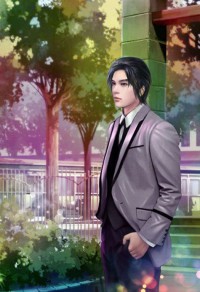 婚嫁总裁