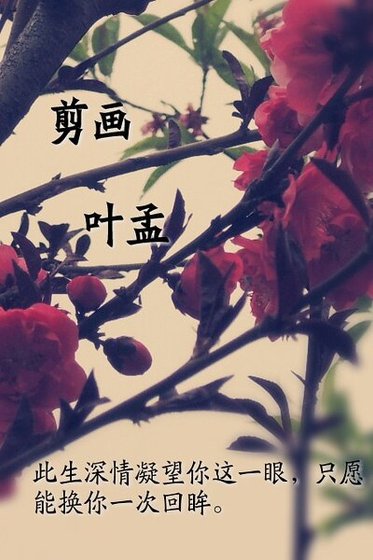 剪画